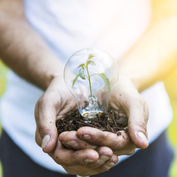 Mãos seguram terra, uma lâmpada e uma planta dentro da lâmpada, representando a ideia de sustentabilidade