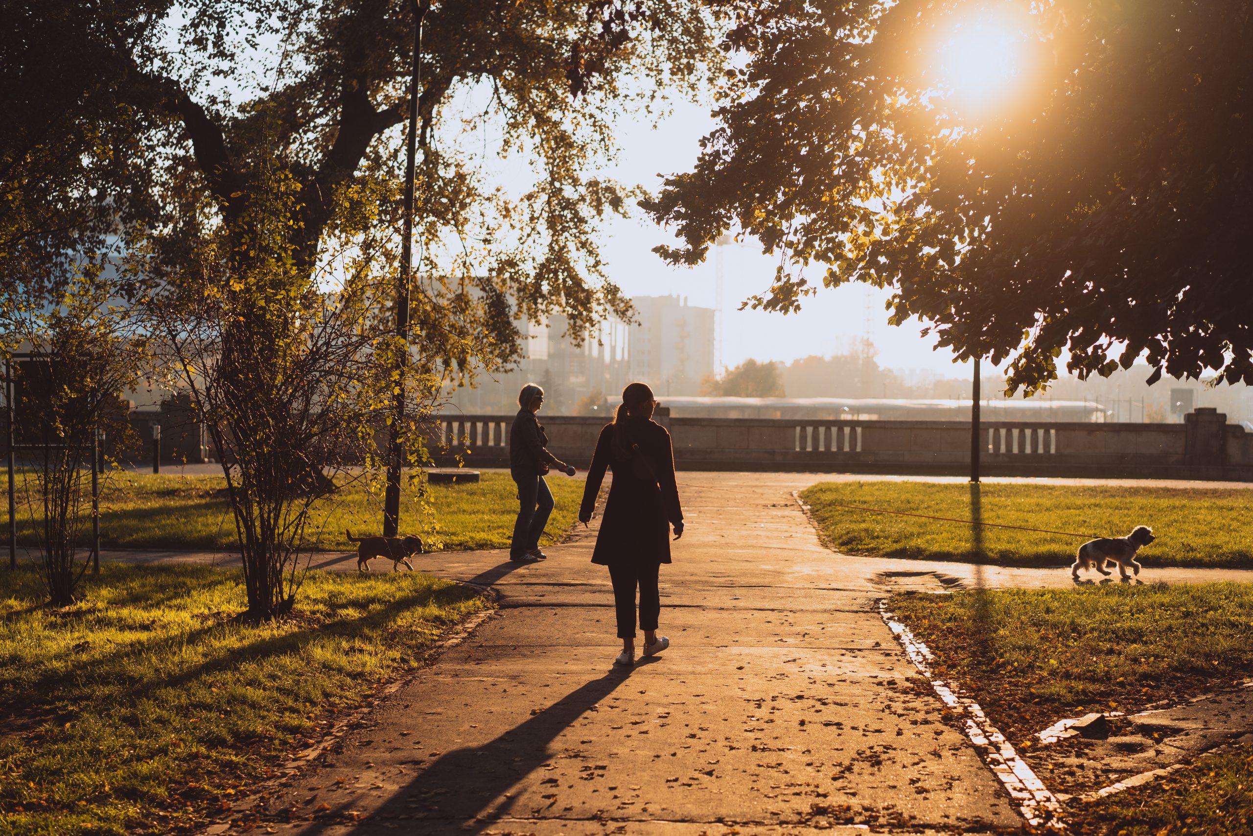 Pessoas passeiam no parque durante o entardecer