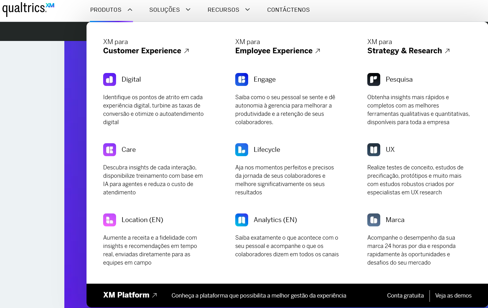 Print do site Qualtrics