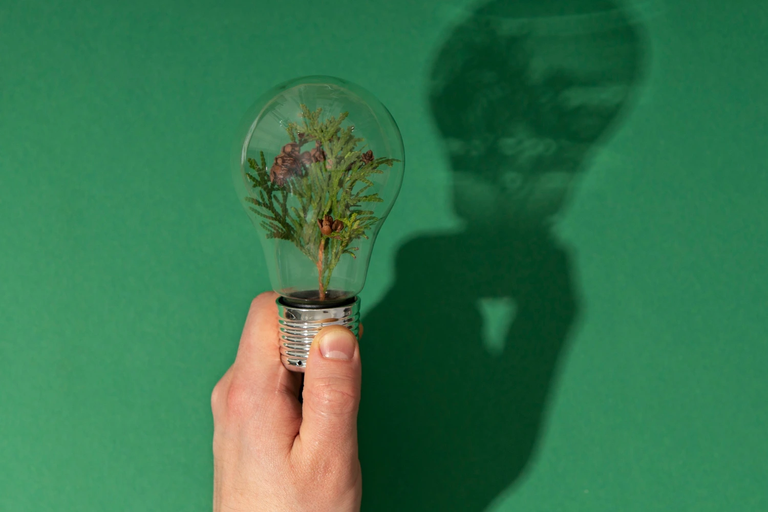 Mão segurando lâmpada com planta dentro, simbolizando inovação, sustentabilidade e o empreendedorismo verde, voltado a impacto ambiental e social.